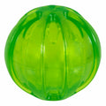 JW Squeaky Ball Medio -Bolinha Para cachorro