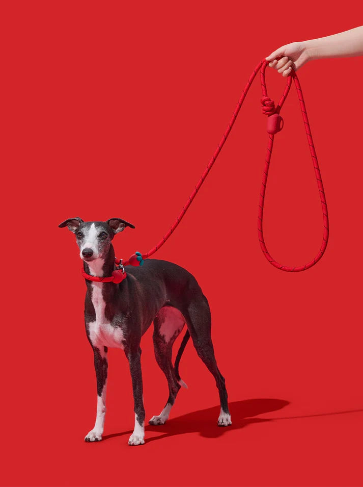 Vetreska Connect Strawberry Hands-Free Rope Leash for Pets - Guia de Mãos Livres