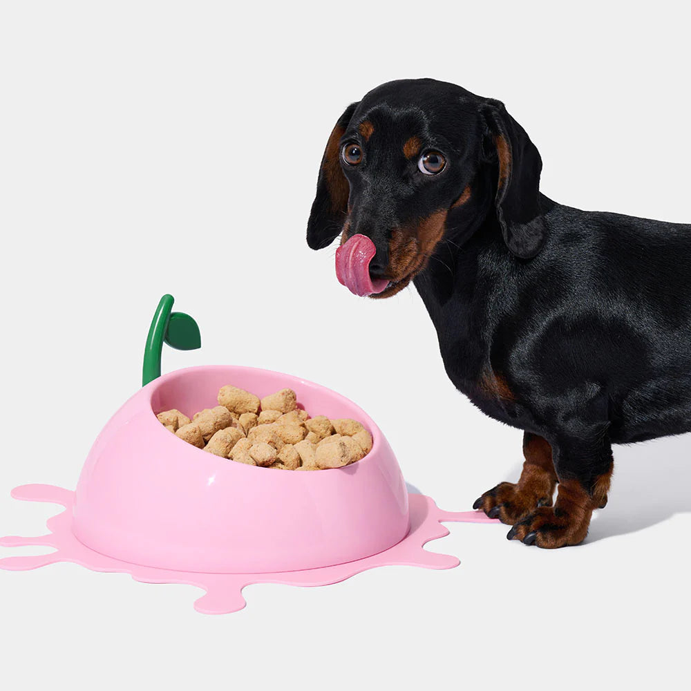 Vetreska Juicy Cherry Pet Bowl, Spoon & Mat Set - Comedouro para Cães e Gatos