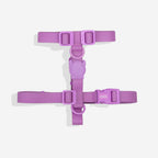 Peitoral para Cachorros H NeoPro Ultra Violet Zee.Dog