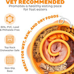 Outward Hound Fun Feeder Slo Bowl - Comedouro Lento G