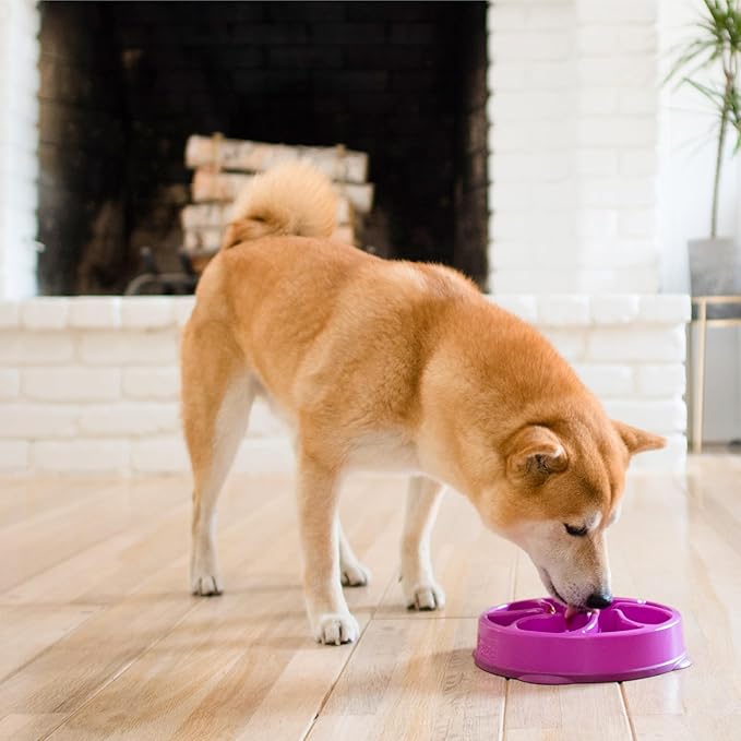 Outward Hound Fun Feeder Slo Bowl Roxo - Comedouro Lento M