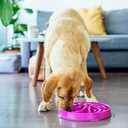 Outward Hound Fun Feeder Slo Bowl Roxa - Comedouro Lento G