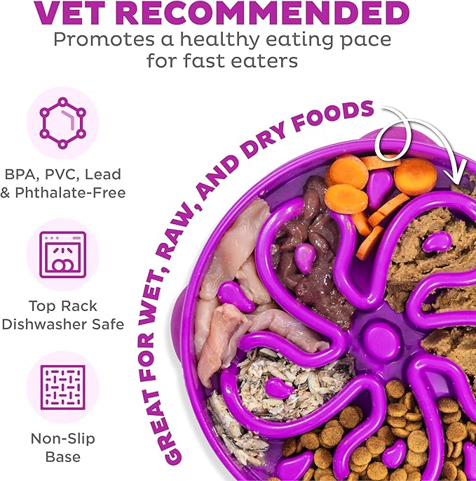 Outward Hound Fun Feeder Slo Bowl Roxa - Comedouro Lento G