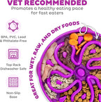 Outward Hound Fun Feeder Slo Bowl Roxa - Comedouro Lento G