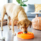 Outward Hound Fun Feeder Slo Bowl - Comedouro Lento G