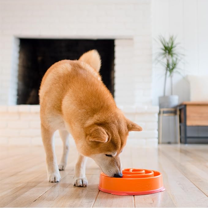 Outward Hound Fun Feeder Slo Bowl - Comedouro Lento M