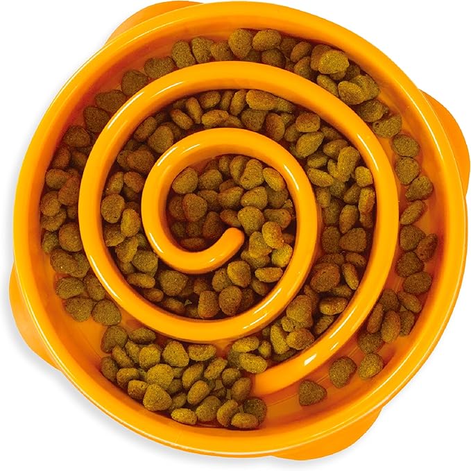 Outward Hound Fun Feeder Slo Bowl - Comedouro Lento G