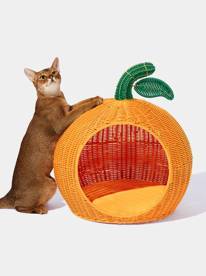 Vetreska Tangerine Rattan Pet Bed - Cama Para Gatos