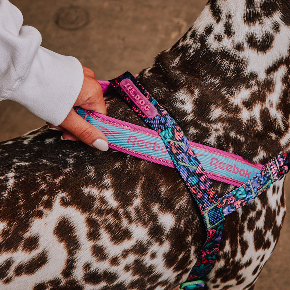 Peitoral Antipuxão SofterWalk para Cachorros Reebok Aerobic