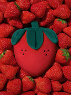 Vetreska Strawberry Pet Backpack, Harness and Leash Set - Conjunto Peitoral, Mochila e Guia