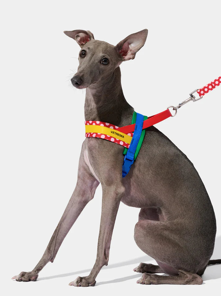 Vetreska Chroma Red Pet Harness & Leash Set - Conjunto Peitoral e Guia