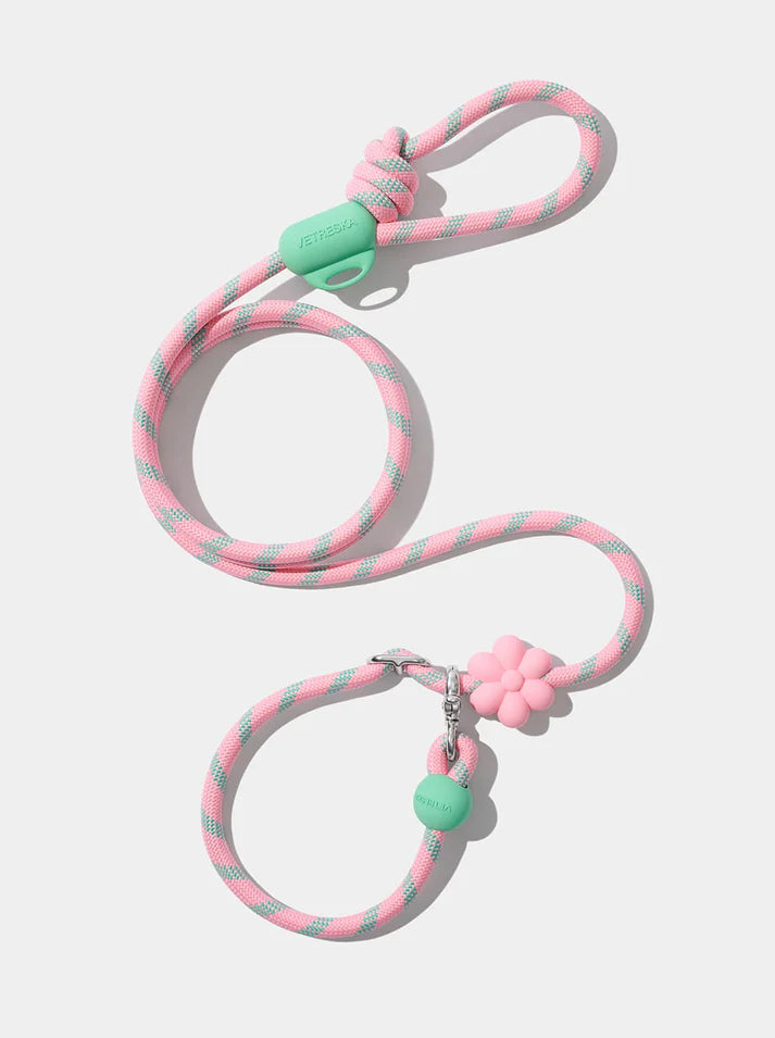 Vetreska Connect Flora Hands-Free Rope Leash for Pets - Guia de Mãos Livres