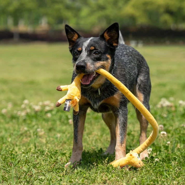 Brinquedo Interativo com Corda Animais Esticadinhos Girafa QMonster