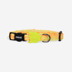 Coleira Zee.Cat Fuse Bikr para Gatos