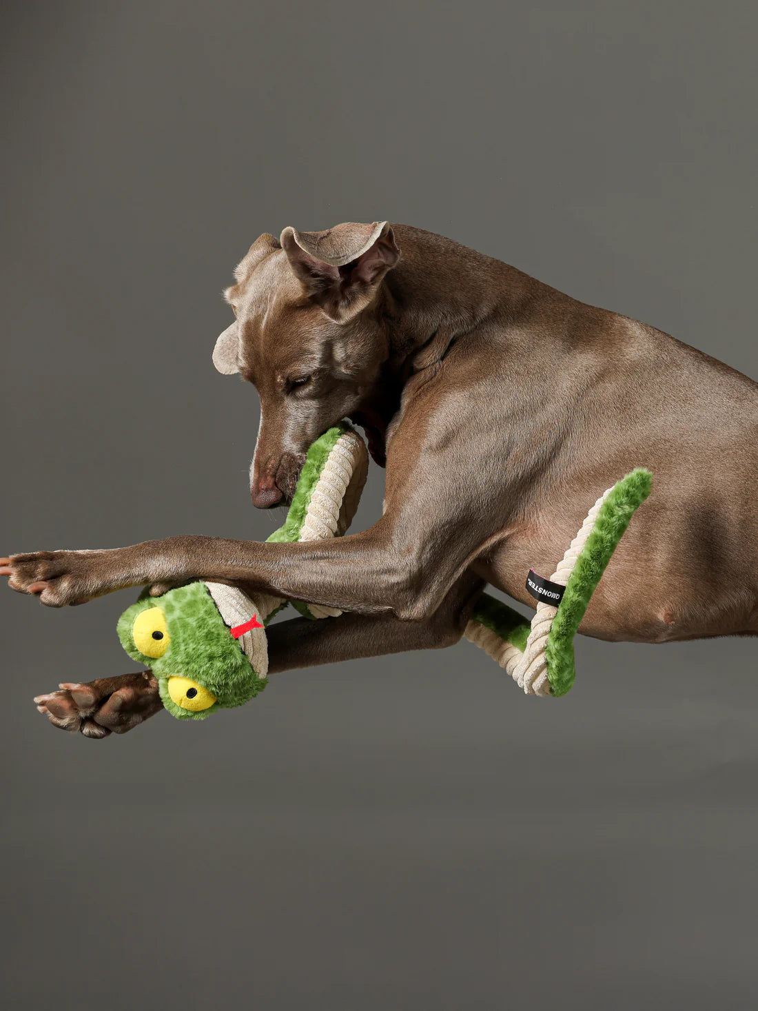 Pelucia Para Cães PETTA - Qmonster Cobra de Mola 100cm Verde