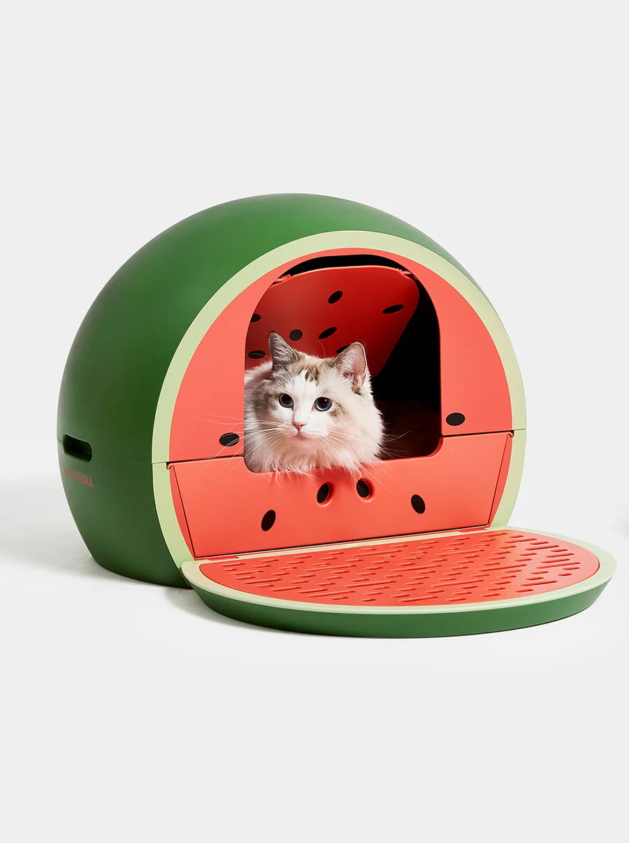Vetreska Watermelon Kitty Kove - Caixa de Areia Melancia para Gatos