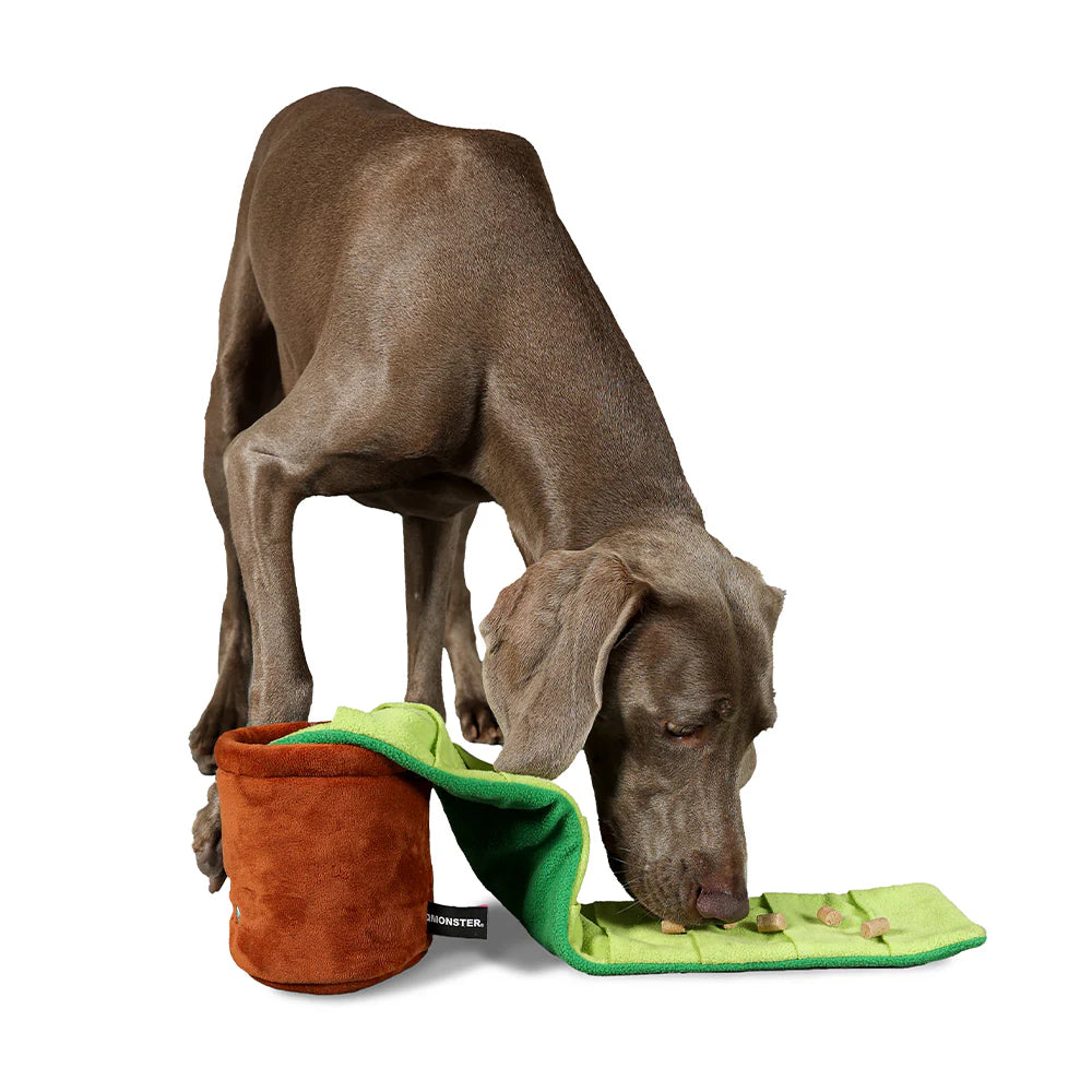 Qmonster Brinquedo para cachorro - Vaso Esconde-Esconde Petiscos
