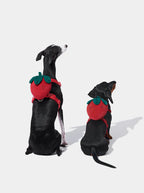 Vetreska Strawberry Pet Backpack, Harness and Leash Set - Conjunto Peitoral, Mochila e Guia