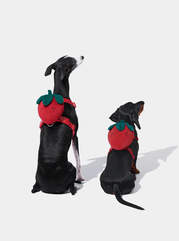 Vetreska Strawberry Pet Backpack, Harness and Leash Set - Conjunto Peitoral, Mochila e Guia
