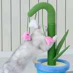 Arranhador Brinquedo para Gatos Muguet em Vaso - Zeze