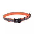 Coleira Coastal Lazer Brite Orange Dog Houses