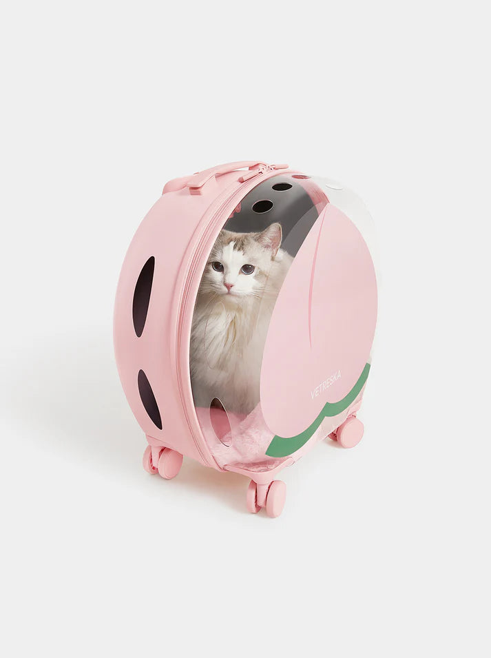 Vetreska Bubble Pet Carrier Pink Color Block - Mochila com Rodinhas