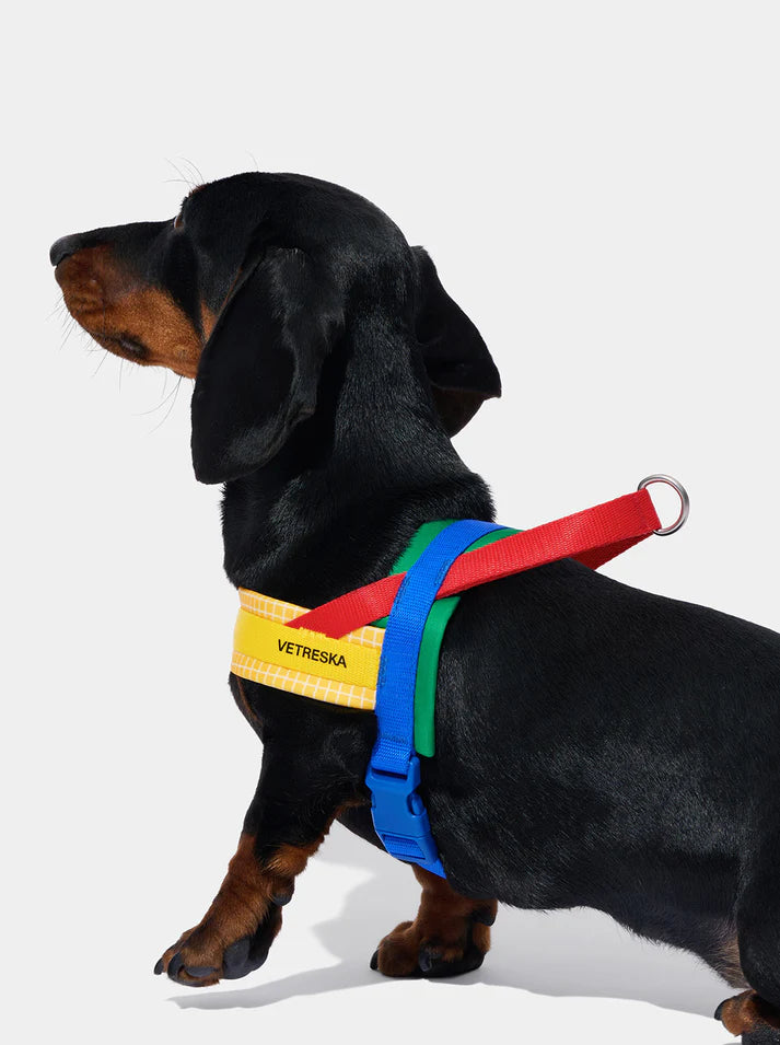 Vetreska Chroma Yellow Pet Harness & Leash Pet - Conjunto Peitoral e Guia