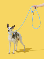 Vetreska Connect Daisy Hands Free Rope Leash for Pets - Guia de Mãos Livres