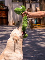 Pelucia Para Cães PETTA - Qmonster Crocodilo de Pescoço Longo