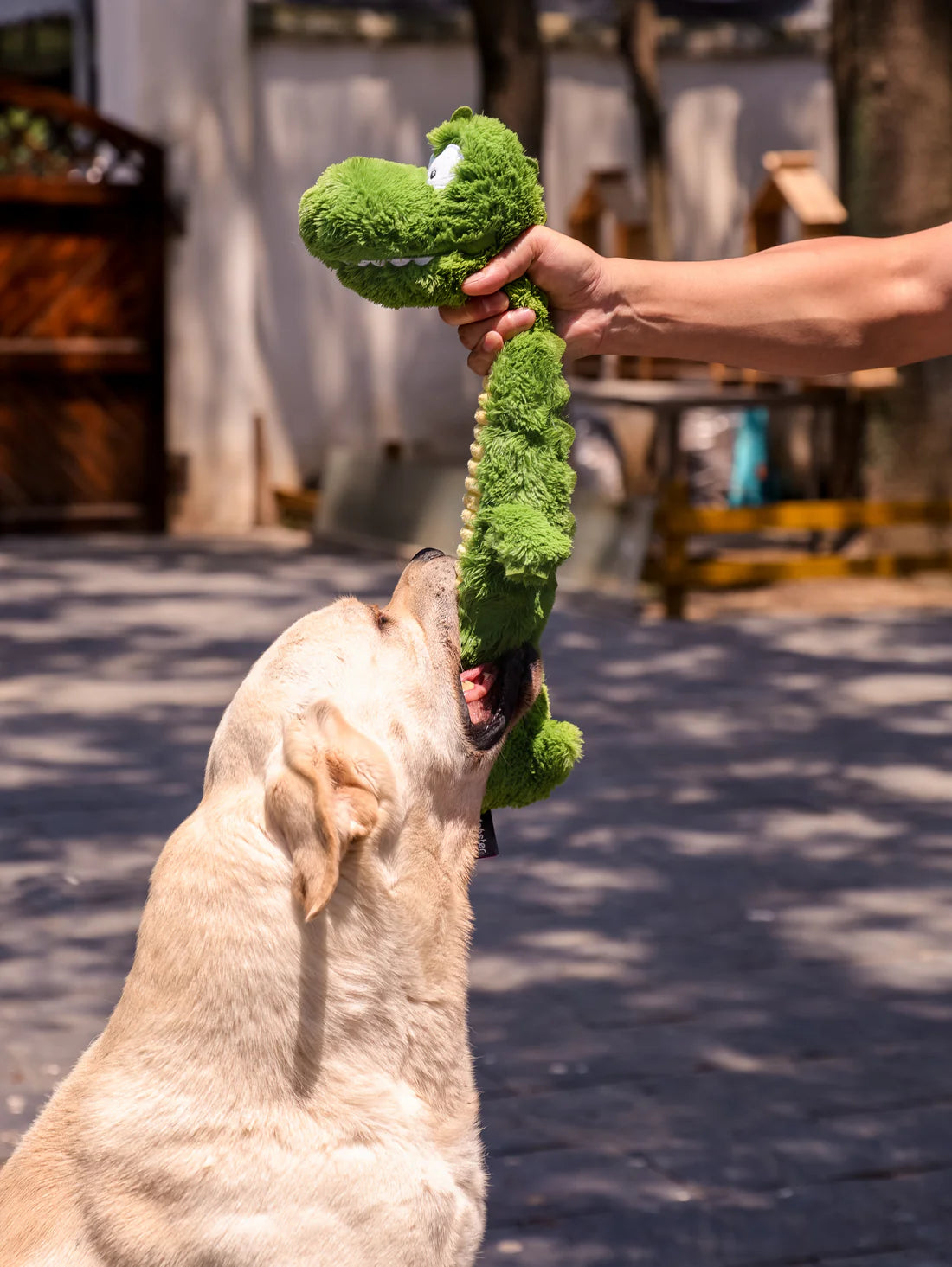 Pelucia Para Cães PETTA - Qmonster Crocodilo de Pescoço Longo