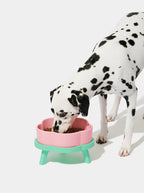 Vetreska Tigela de Cerâmica Flora Para Cães