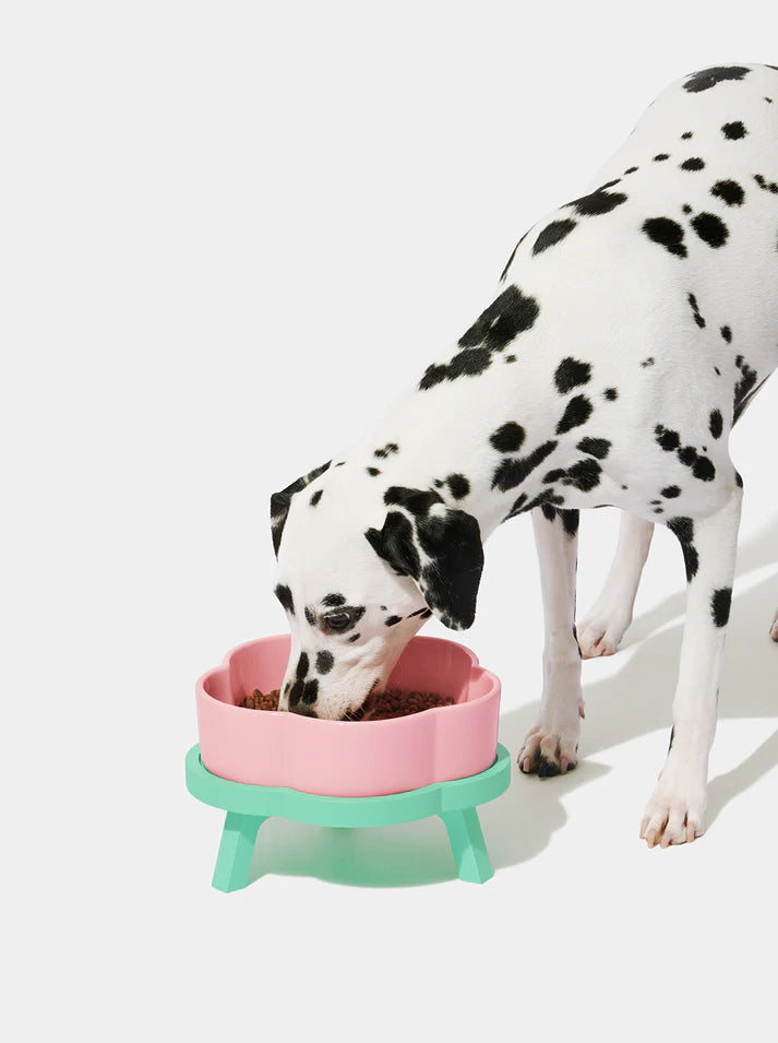 Vetreska Tigela de Cerâmica Flora Para Cães