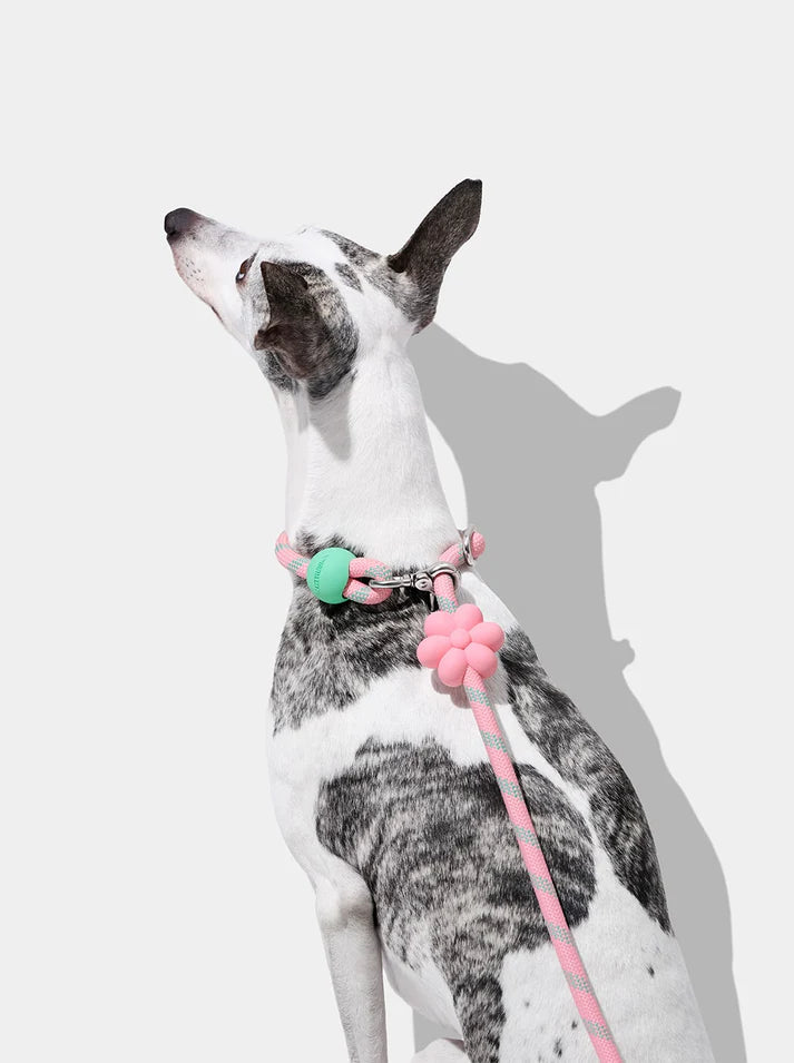 Vetreska Connect Flora Hands-Free Rope Leash for Pets - Guia de Mãos Livres