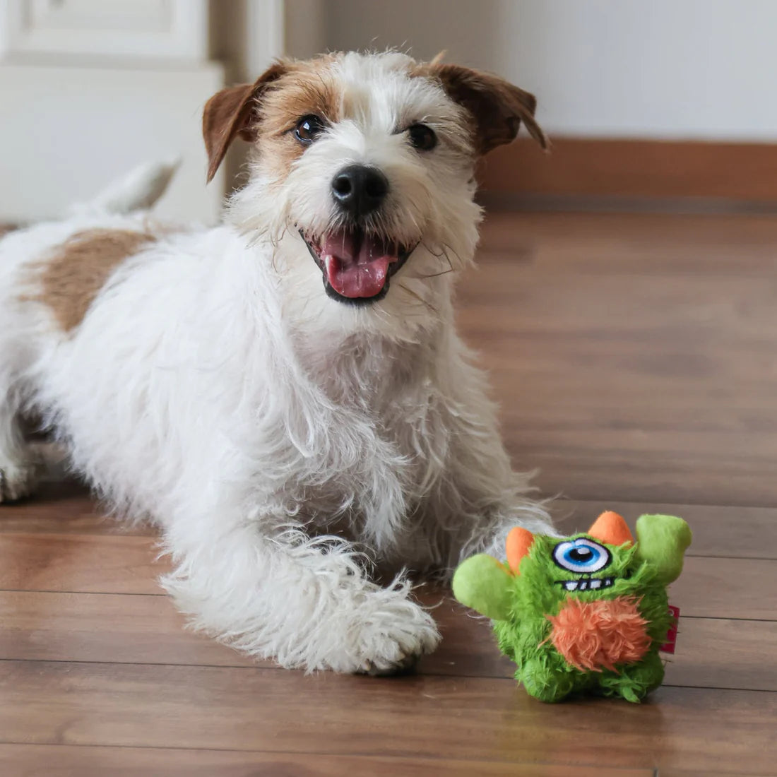 Qmonster Brinquedo para cachorro - 2in1 Monstro Gen 1 - Verde Pequeno