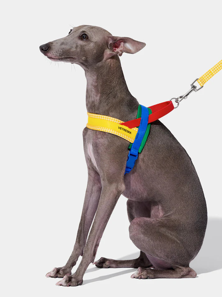 Vetreska Chroma Yellow Pet Harness & Leash Pet - Conjunto Peitoral e Guia