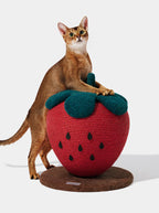 Vetreska Strawberry Cat Scratching Ball - Arranhador Para Gatos