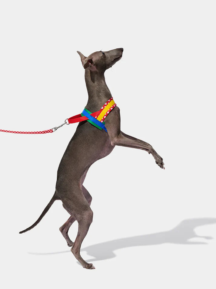 Vetreska Chroma Red Pet Harness & Leash Set - Conjunto Peitoral e Guia