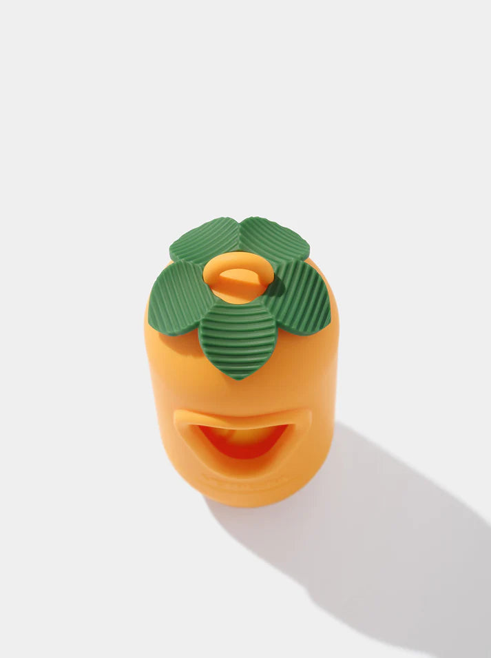 Vetreska Tangerine Poop Bags & Dispenser Set - 1 Cata Caca + 1 Rolo