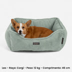 Cama Reversível Nandog Verde