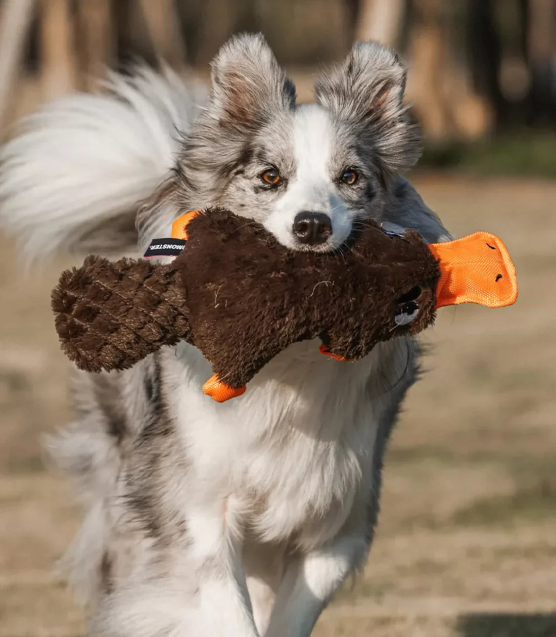 Pelucia Para Cães PETTA - Qmonster Ornitorrinco Bravo