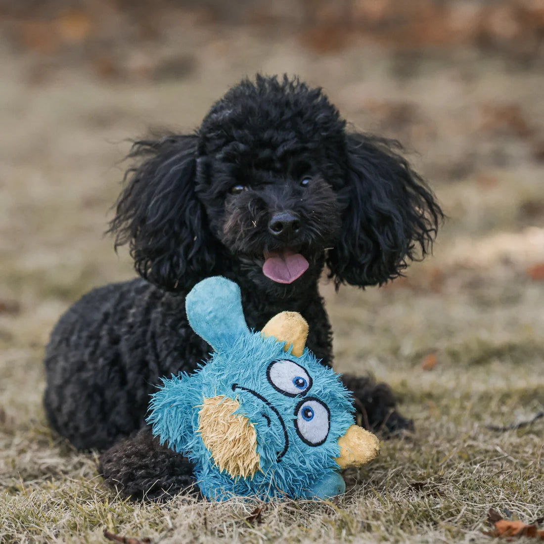 Qmonster Brinquedo para cachorro - 2in1 Monstro Gen 1 - Azul Grande