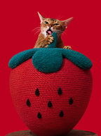 Vetreska Strawberry Cat Scratching Ball - Arranhador Para Gatos