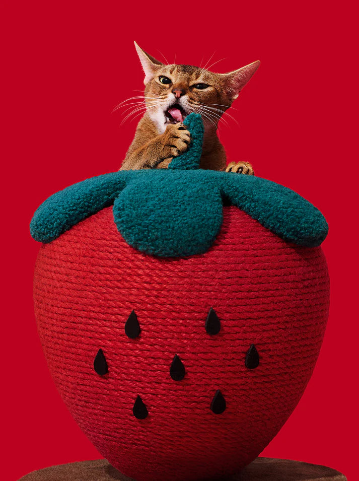 Vetreska Strawberry Cat Scratching Ball - Arranhador Para Gatos
