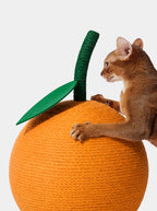 Vetreska Tangerine Cat Scratching Ball - Arranhador Para Gatos
