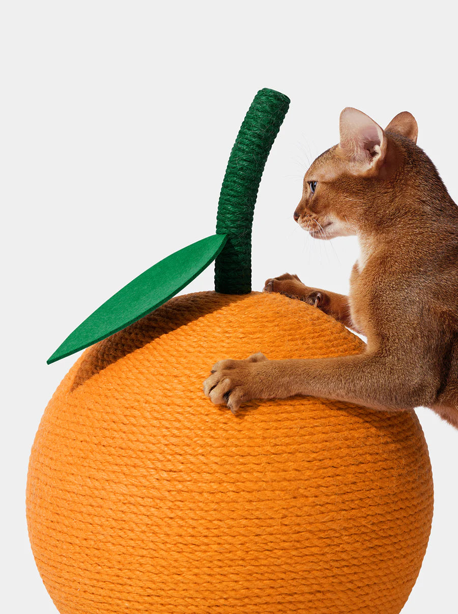 Vetreska Tangerine Cat Scratching Ball - Arranhador Para Gatos