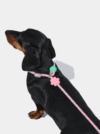 VETRESKA Connect Lite Rope Leash - Guia Leve de Corda - Flora