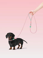 VETRESKA Connect Lite Rope Leash - Guia Leve de Corda - Flora