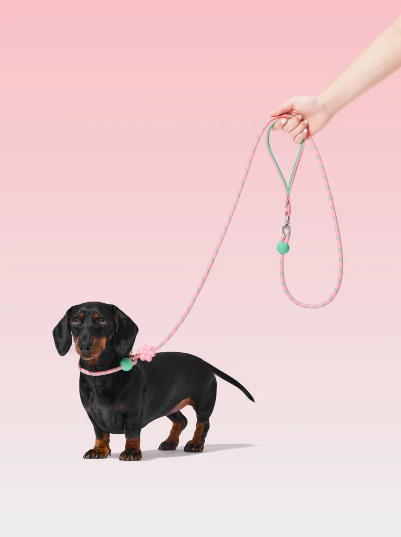 VETRESKA Connect Lite Rope Leash - Guia Leve de Corda - Flora