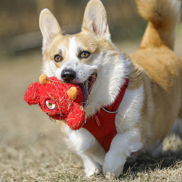 Qmonster Brinquedo para Cachorro – 2in1 Monstro Ciclope – Vermelha Grande